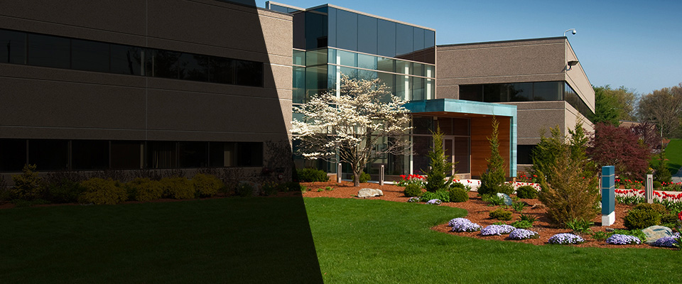 Science Hill Landscapers