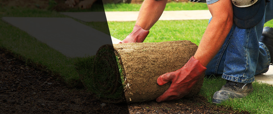 Science Hill Landscapers